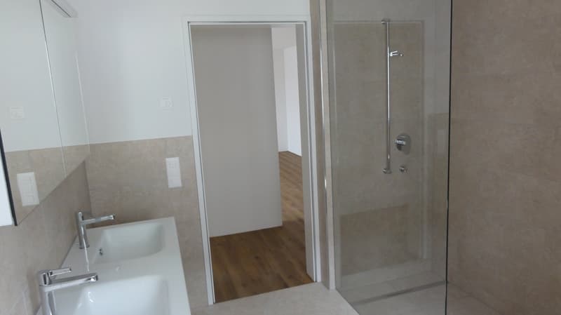 In affitto (prima locazione) appartamento spazioso 3,5 locali con ampio balcone (13)