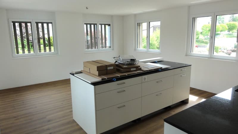 In affitto (prima locazione) appartamento spazioso 3,5 locali con ampio balcone (7)