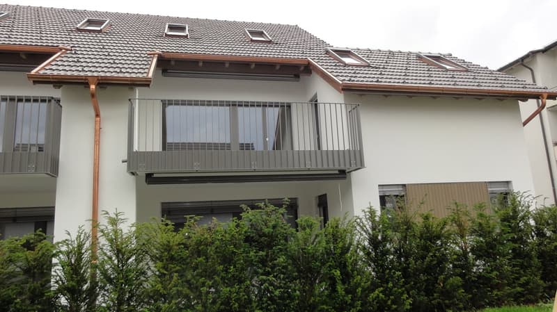 In affitto (prima locazione) appartamento spazioso 3,5 locali con ampio balcone (4)