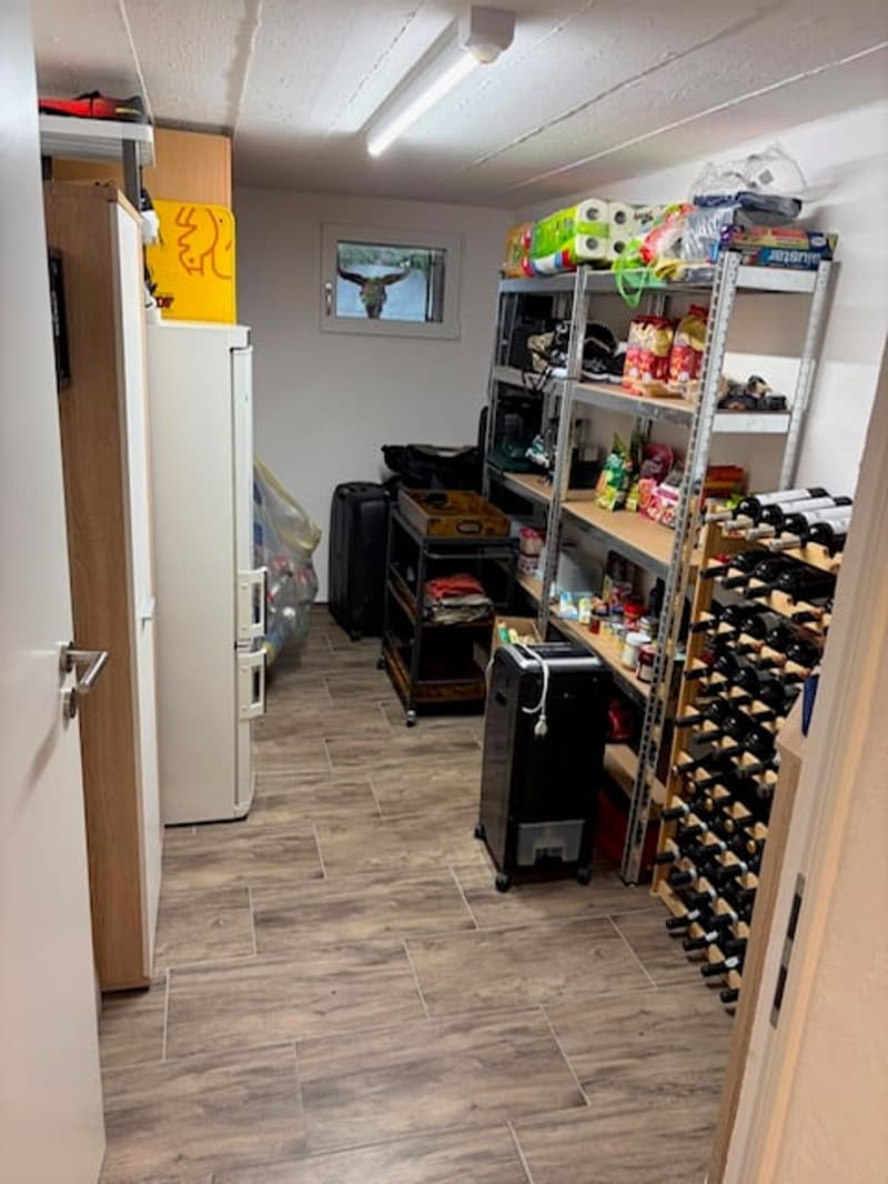 Attraktives, modernes Terrassenhaus mit fantastischer Weitsicht in Klingnau (23)