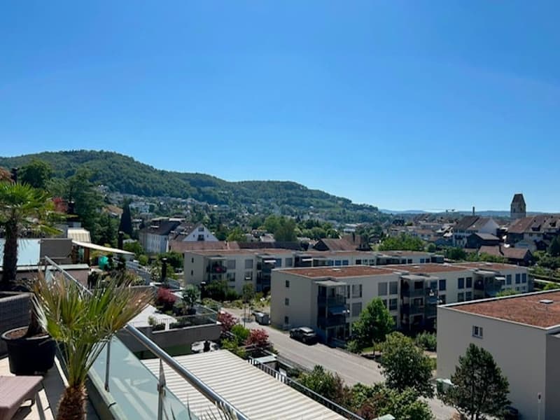 Attraktives, modernes Terrassenhaus mit fantastischer Weitsicht in Klingnau (4)