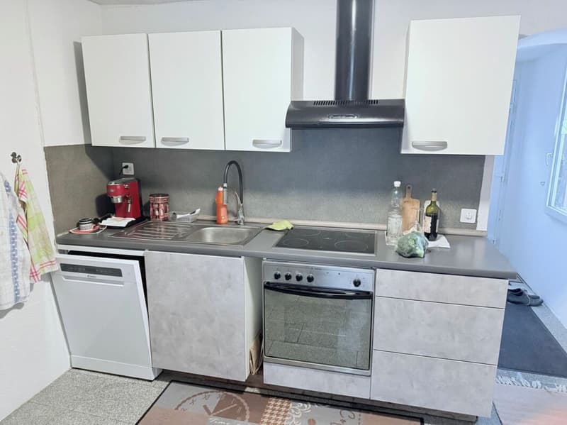 Interesting multi-family house with 5% return - VP negotiable (15)