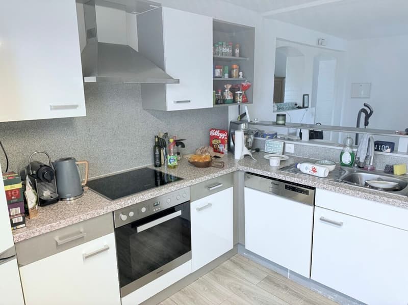 Interesting multi-family house with 5% return - VP negotiable (12)