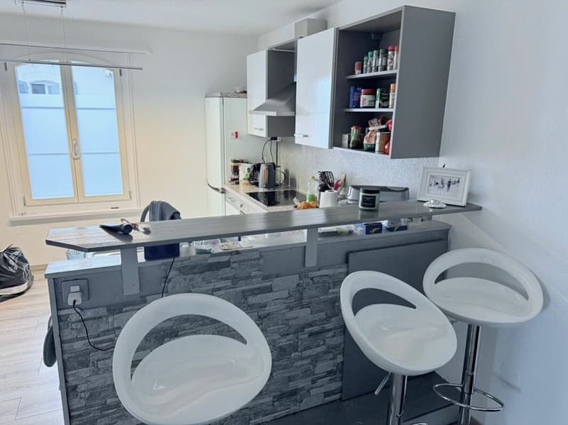Price reduction - Interesting multi-family house with over 5% return (11)