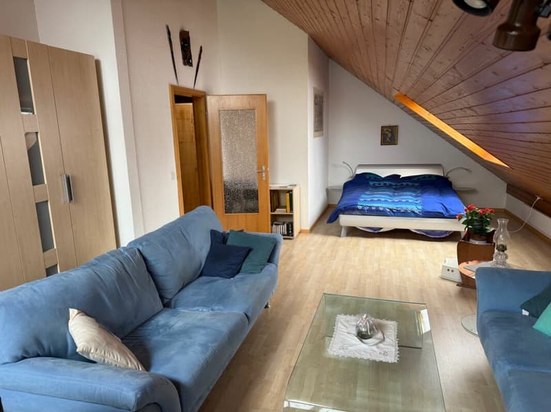Cozy semi-detached house in zone W3 (15)