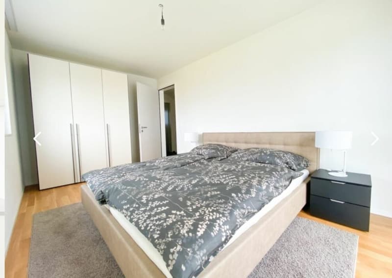 Neuwertiges 6.5 Zimmer Reihen-Eckhaus an ruhiger Lage (8)