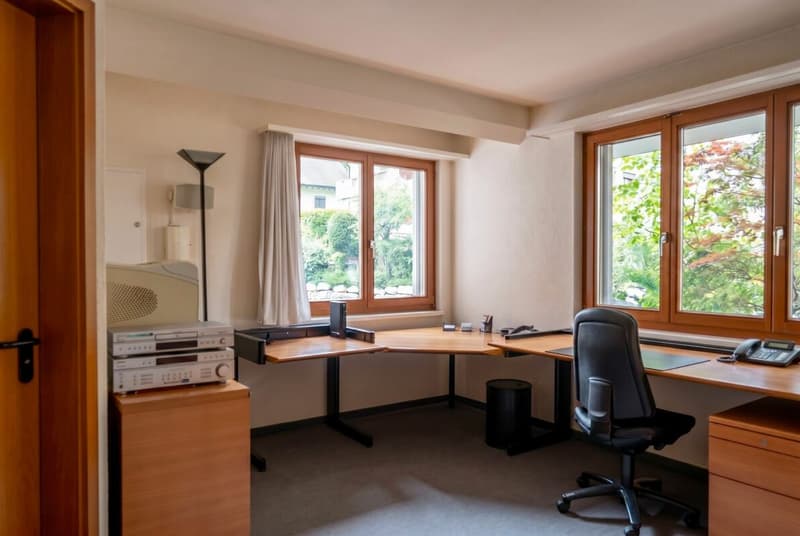 Attraktive 1.5 Zimmer Parterrewohnung (11)