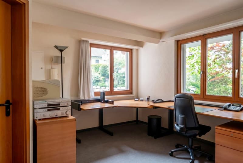 Attraktive 1.5 Zimmer Parterrewohnung (2)