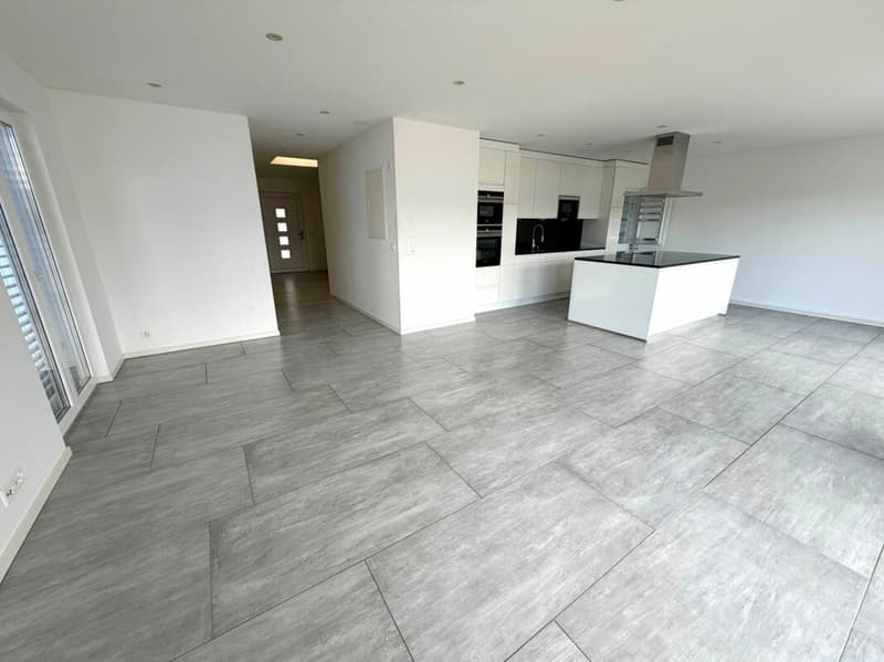 Neuwertige 4.5 Zimmer Attika-Wohnung (3)