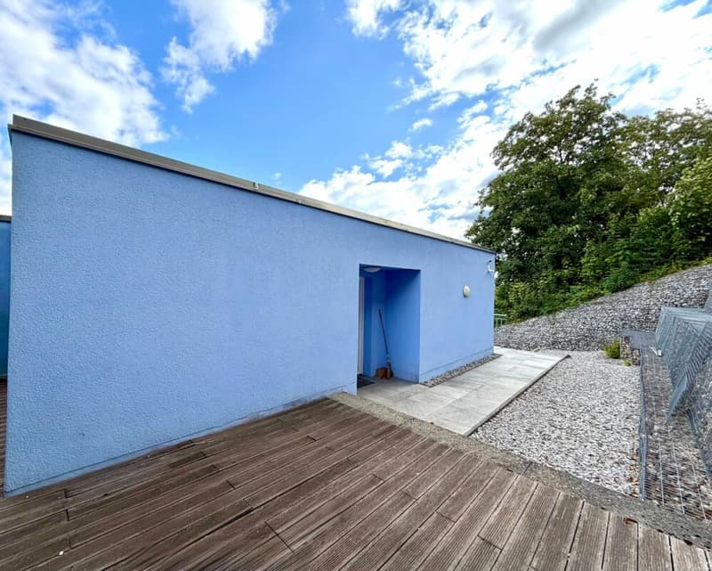 Neuwertige 4.5 Zimmer Attika-Wohnung (12)