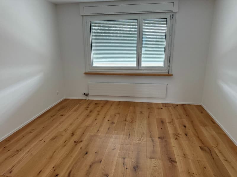 Neuwertige Wohnung (renoviert für CHF 115'000.-) mit Lift an ruhiger Lage (13)