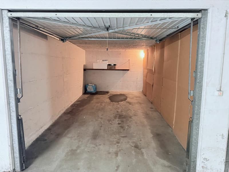 Neuwertige Wohnung (renoviert für CHF 115'000.-) mit Lift an ruhiger Lage (19)