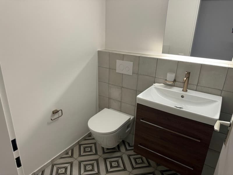 Neuwertige Wohnung (renoviert für CHF 115'000.-) mit Lift an ruhiger Lage (14)