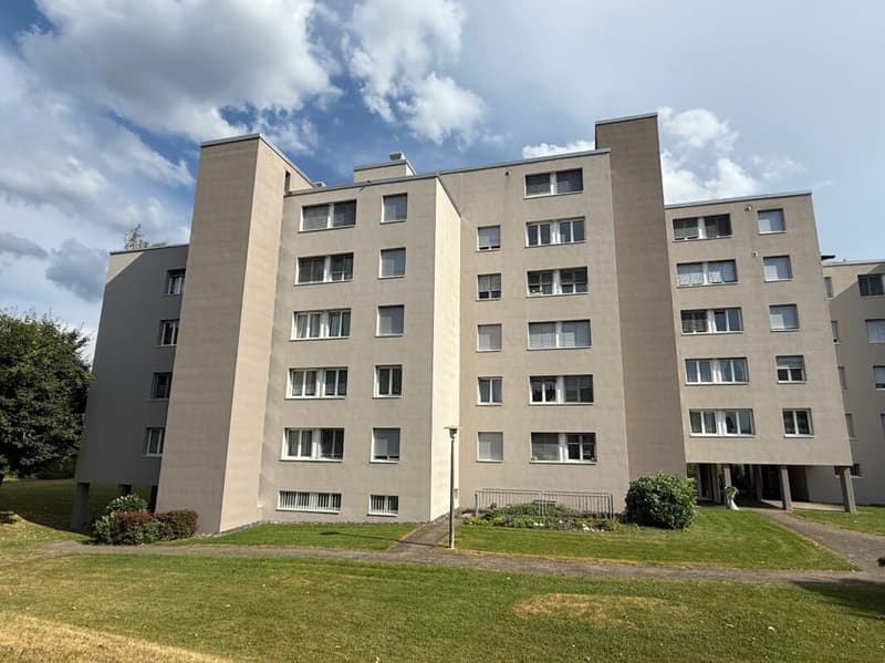 Neuwertige Wohnung (renoviert für CHF 115'000.-) mit Lift an ruhiger Lage (2)