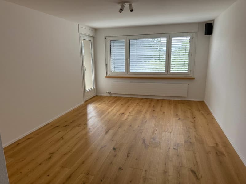 Neuwertige Wohnung (renoviert für CHF 115'000.-) mit Lift an ruhiger Lage (11)