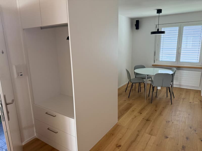 Neuwertige Wohnung (renoviert für CHF 115'000.-) mit Lift an ruhiger Lage (9)