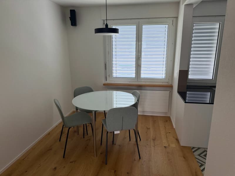 Neuwertige Wohnung (renoviert für CHF 115'000.-) mit Lift an ruhiger Lage (7)
