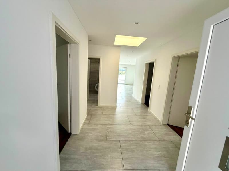 Neuwertige 4.5 Zimmer Attika-Wohnung (11)