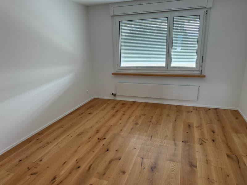 Neu renovierte 3.5 Zimmer Wohnung mit Garage (10)