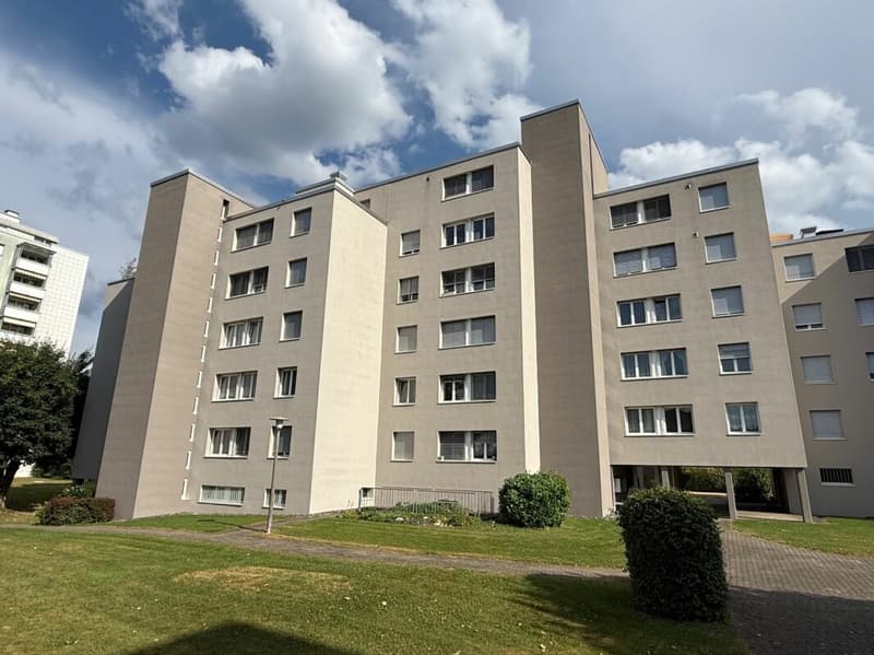 Neu renovierte 3.5 Zimmer Wohnung mit Garage (17)