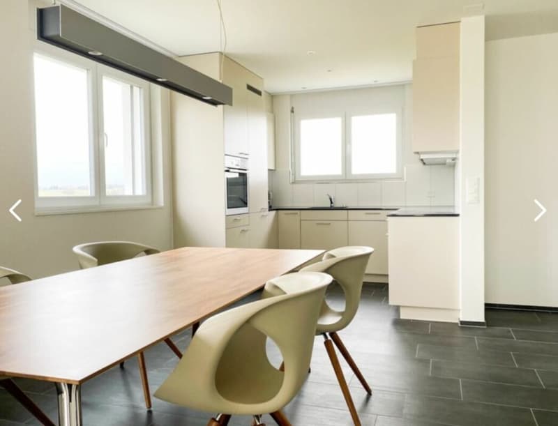 Neuwertiges 6.5 Zimmer Reihen-Eckhaus an ruhiger Lage (4)