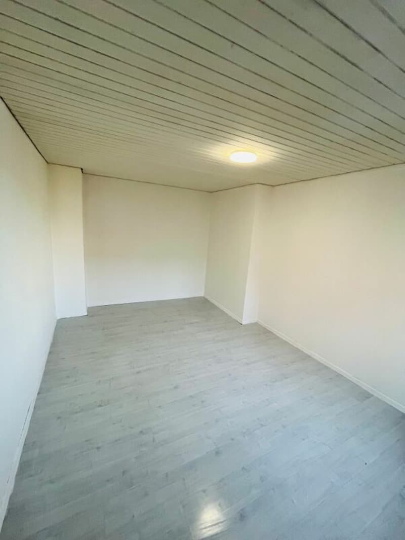 Reduzierter Preis - attraktives MFH mit einer Bruttorendite von 5.5 % ! (15)