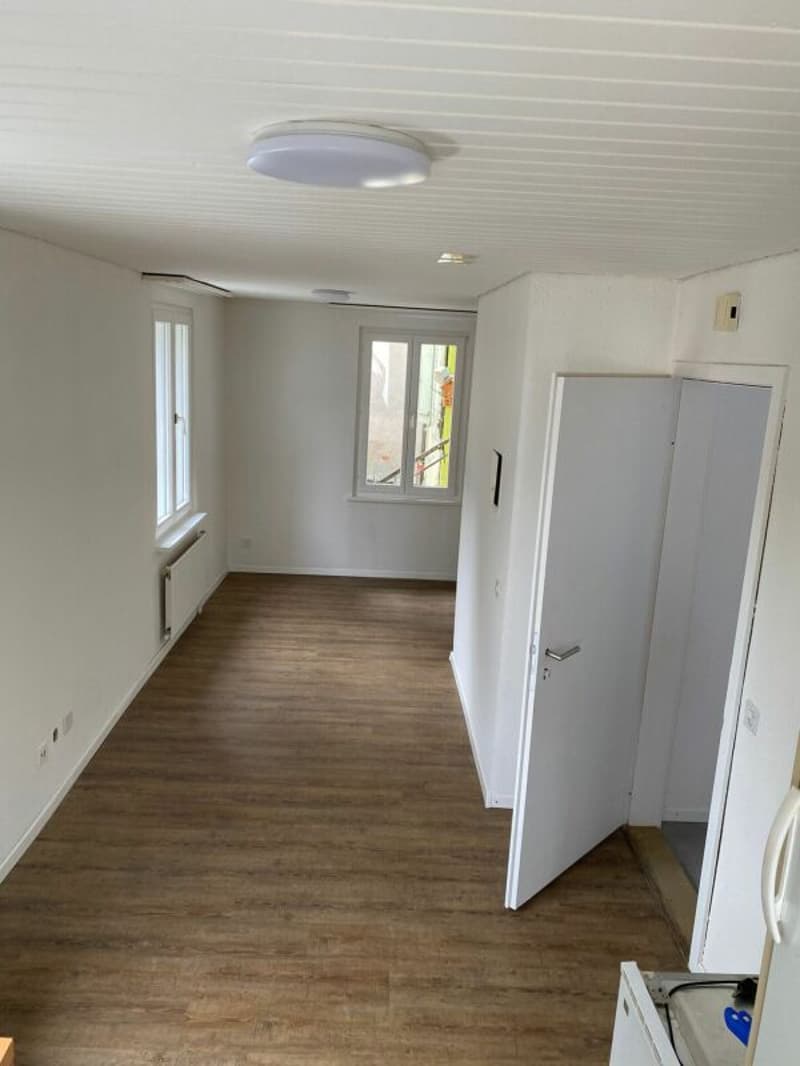 Reduzierter Preis - attraktives MFH mit einer Bruttorendite von 5.5 % ! (21)