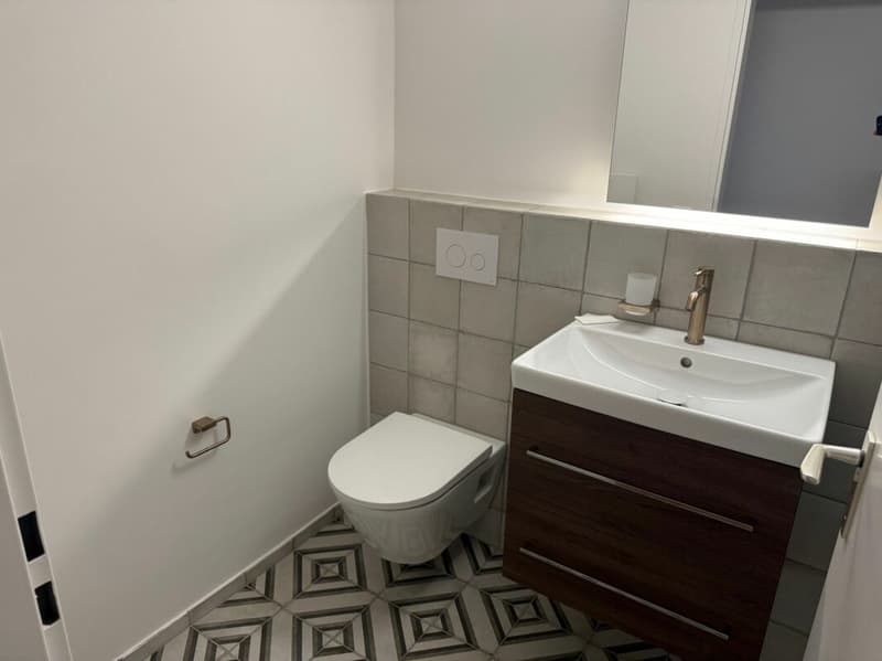 Neu renovierte 3.5 Zimmer Wohnung mit Garage (6)