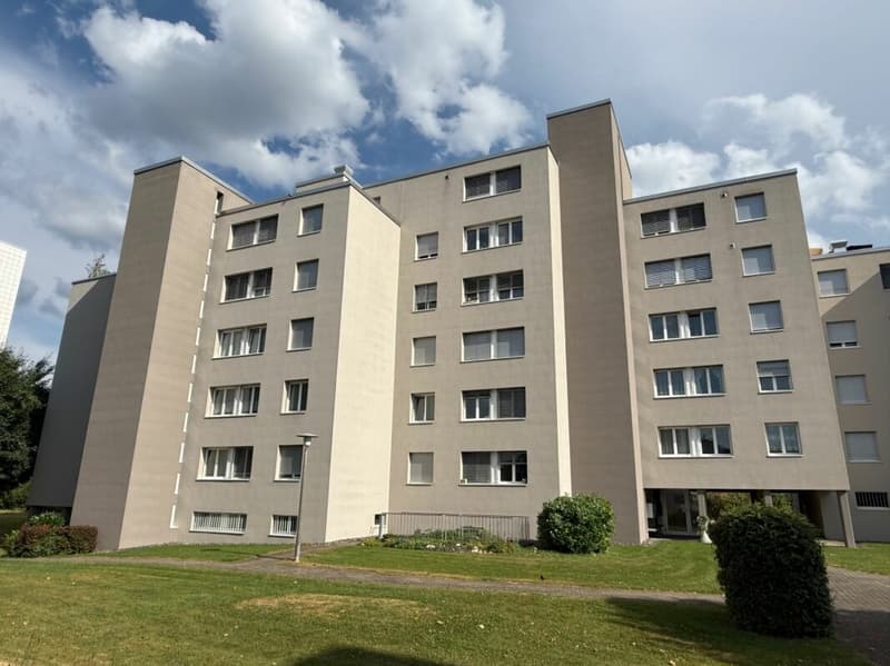 Neu renovierte 3.5 Zimmer Wohnung mit Garage (18)