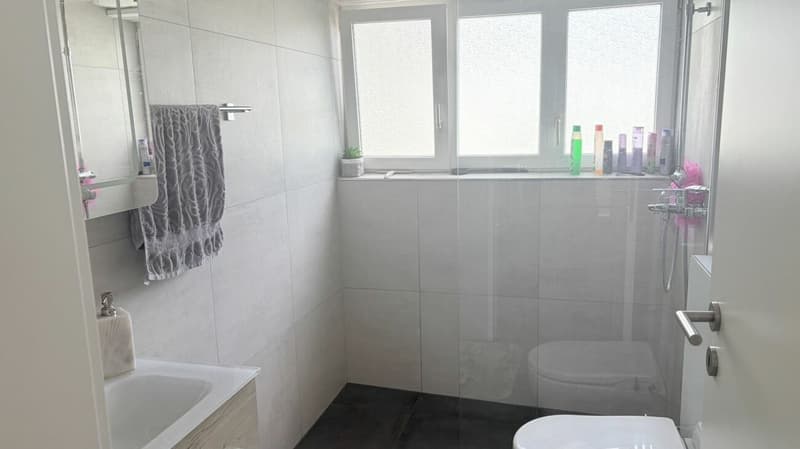 Attraktives Zweifamilienhaus in der Zone W3 - VP verhandelbar (17)