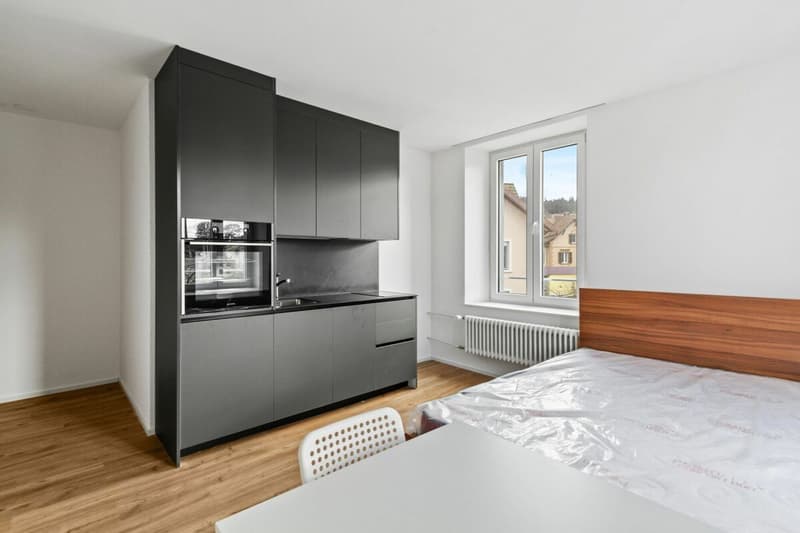 Voll vermietete, sanierte Liegenschaft - Bruttorendite 4.6 % (6)