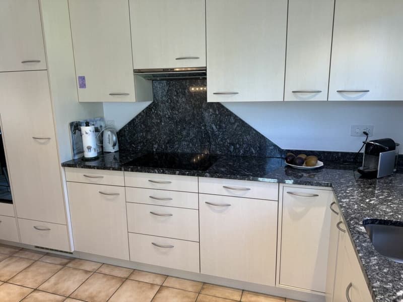 Renoviertes Einfamilienhaus mit einem Wintergarten (19)