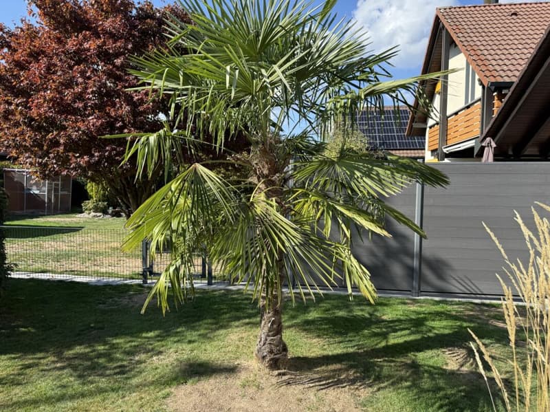 Renoviertes Einfamilienhaus mit einem Wintergarten (23)