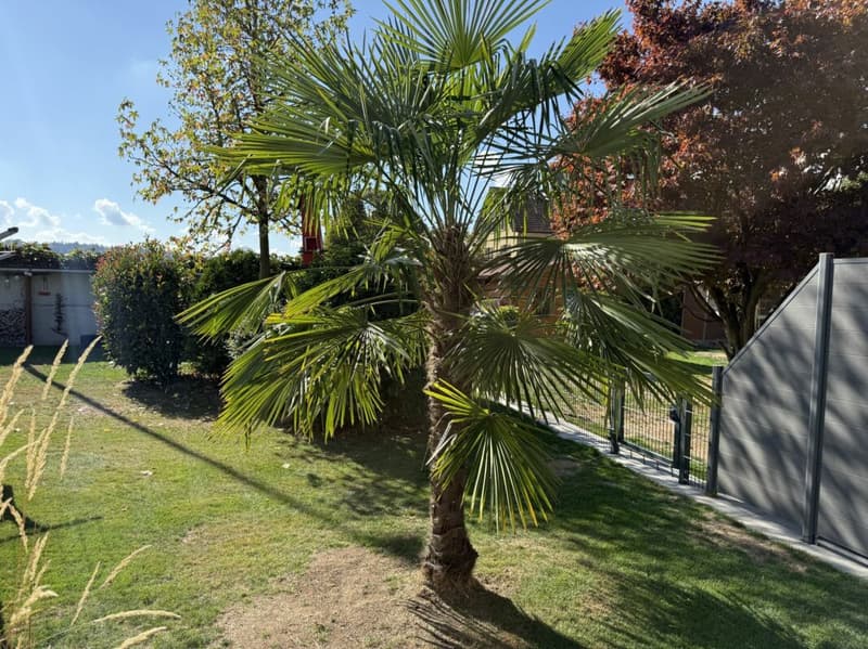 Renoviertes Einfamilienhaus mit einem Wintergarten (22)