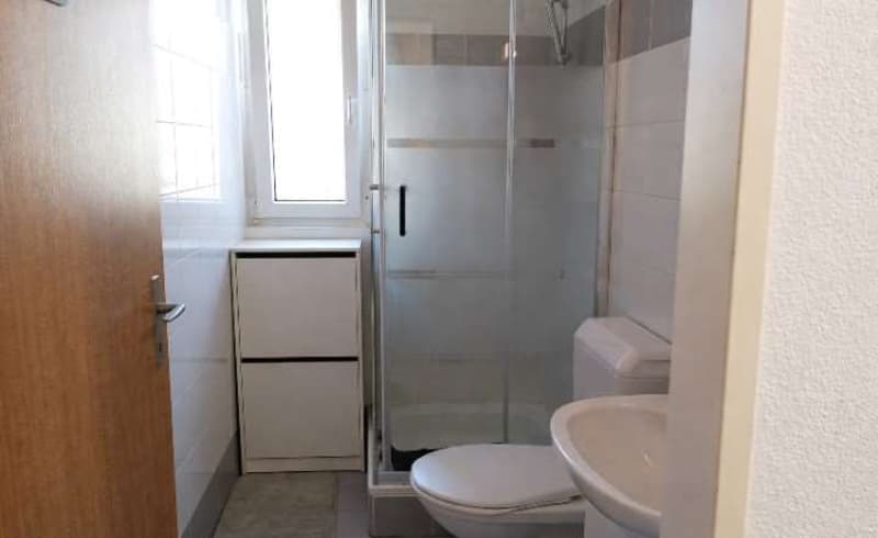 Helles 4,5-Zimmer-Wohnung in ruhiger Wohngegend (10)