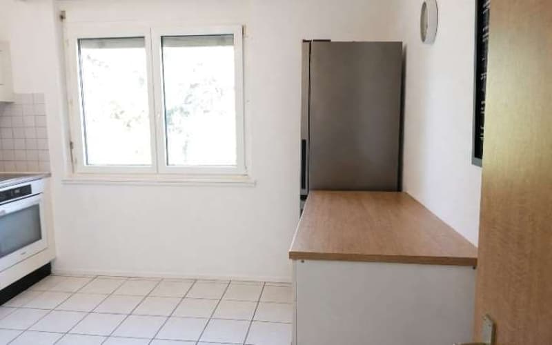 Helles 4,5-Zimmer-Wohnung in ruhiger Wohngegend (5)