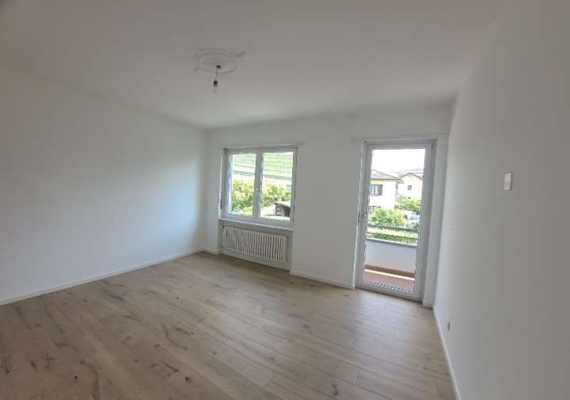 BRIGHT 3.5-ROOM APARTMENT WITH GARDEN IN COLDRERIO (5)