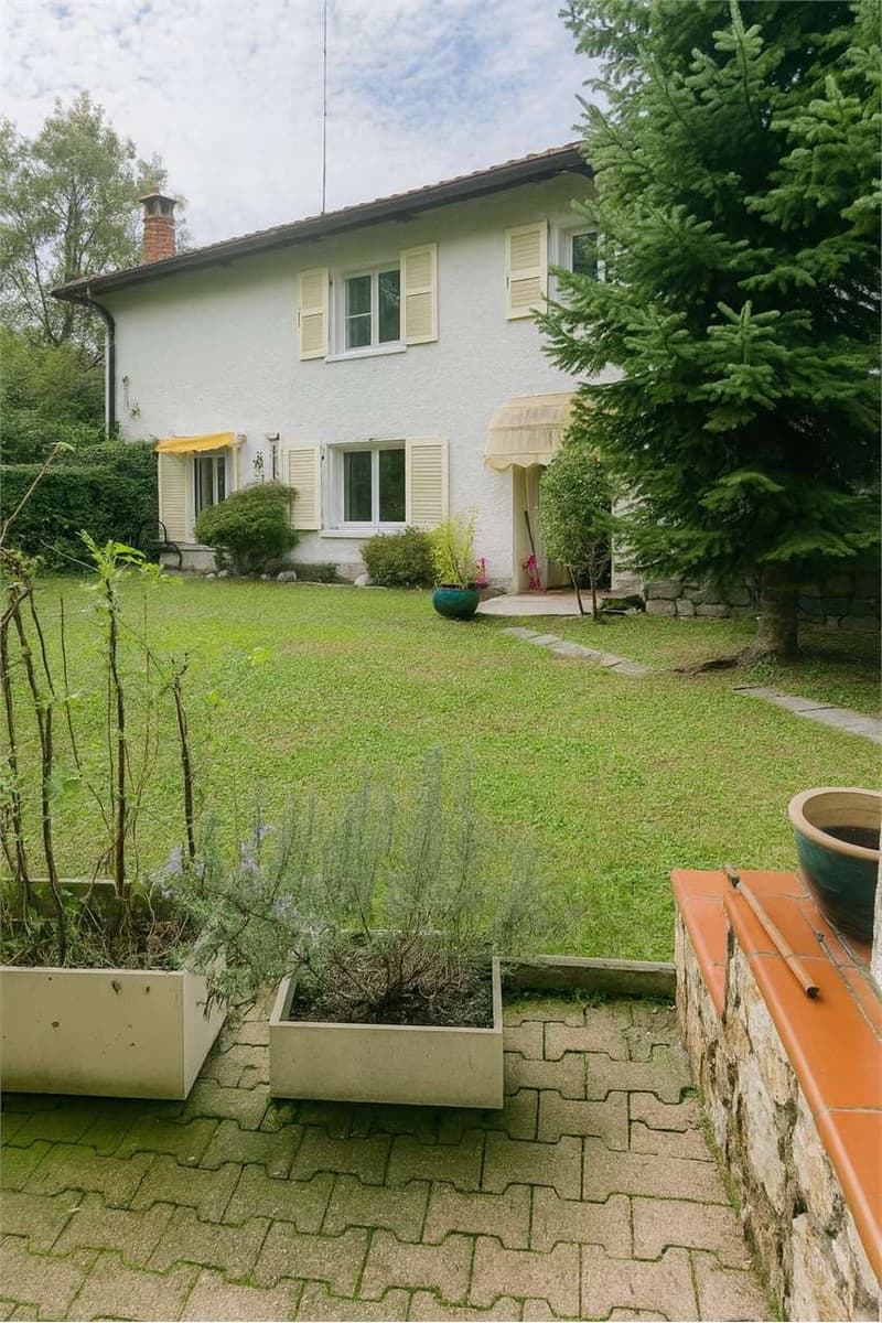 Pazzallo 3,5 mit Garten und zwei Monatsmieten angeboten (10)