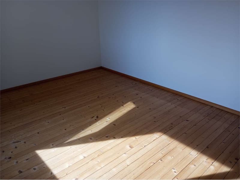 3.5 Rooms Renovated in Dino - Strategic Location, Available Immediately (10)