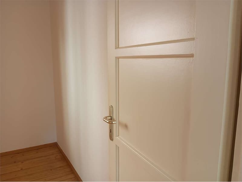 3.5 Rooms Renovated in Dino - Strategic Location, Available Immediately (13)