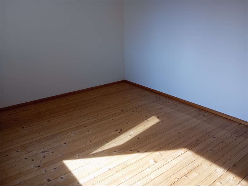 3.5 Rooms Renovated in Dino - Strategic Location, Available Immediately (7)