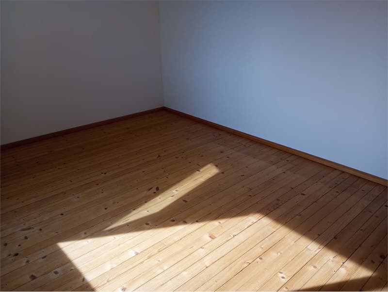 3.5 Rooms Renovated in Dino - Strategic Location, Available Immediately (12)