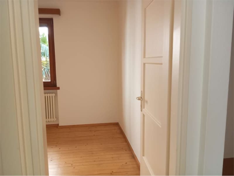 3.5 Rooms Renovated in Dino - Strategic Location, Available Immediately (5)