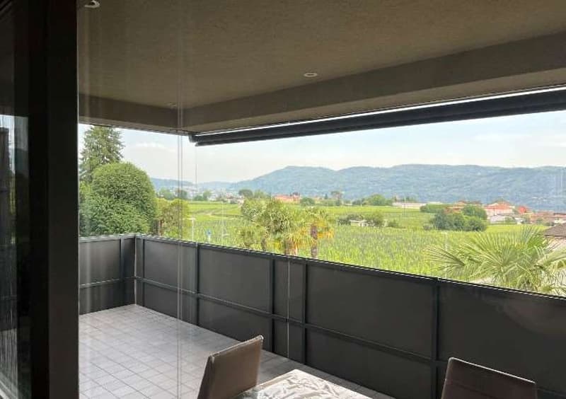 Splendido appartamento 3,5 locali con soppalco e vista sui vigneti - C (11)