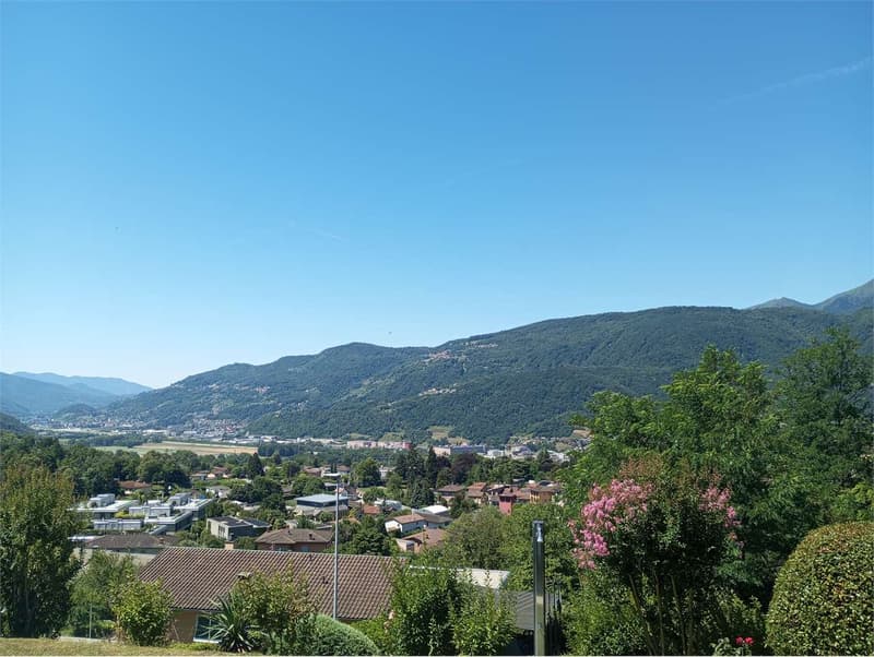 Comano - Elegante appartamento 2.5 locali con piscina e vista panorami (6)