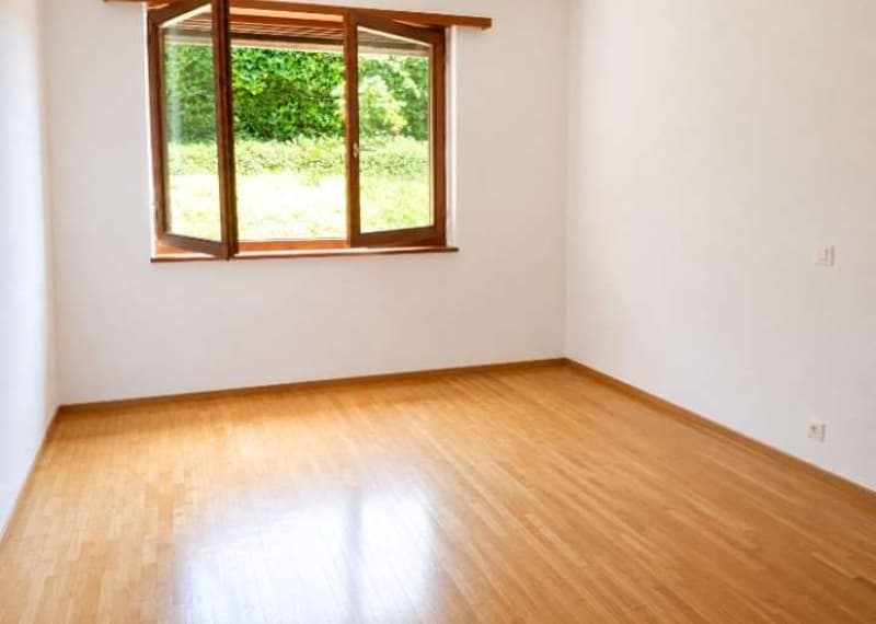 Comano - Elegante appartamento 2.5 locali con piscina e vista panorami (3)