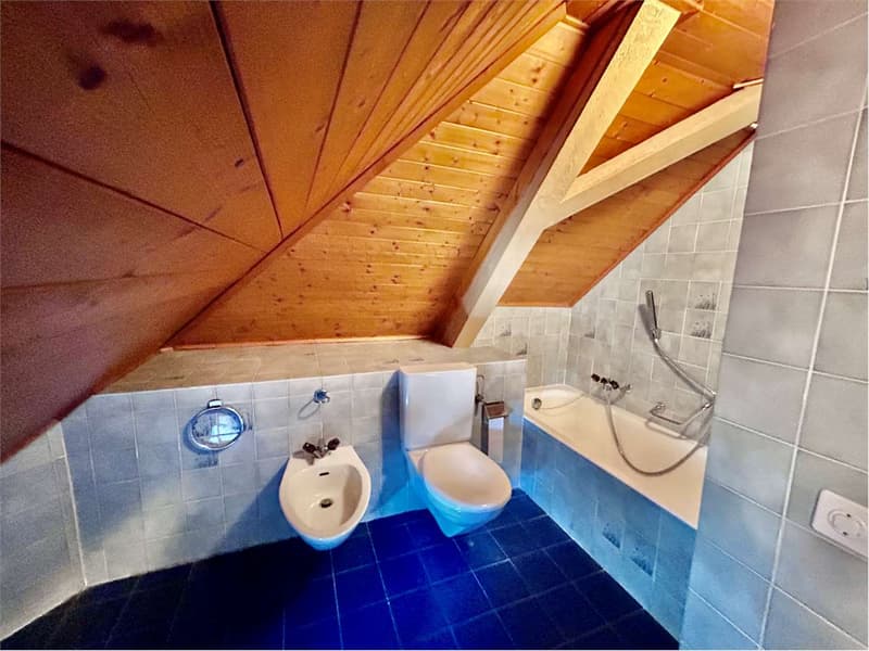 RIVA SAN VITALE: 4 MANSARDATO (13)
