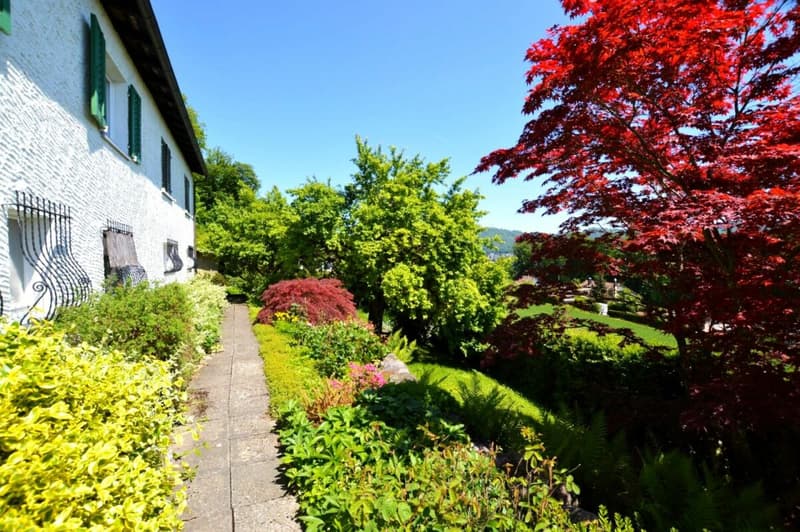 Two-family house with fantastic views (3)