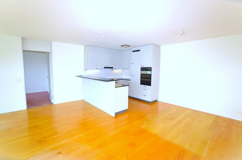 Attractive ownership apartment with a great view (3)