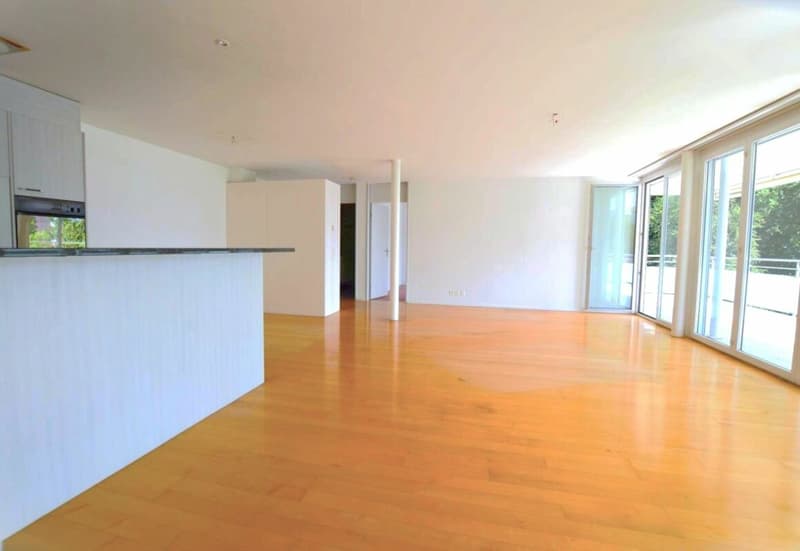 Attractive ownership apartment with a great view (5)